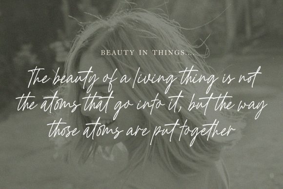 Golden Hopes: A Dazzling Script Font for Creative Designers